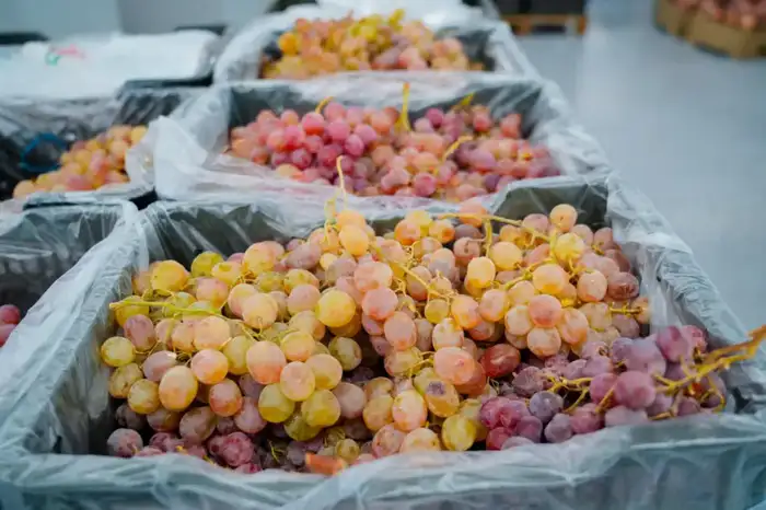 В столице продолжается очередная сельскохозяйственная ярмарка (4)