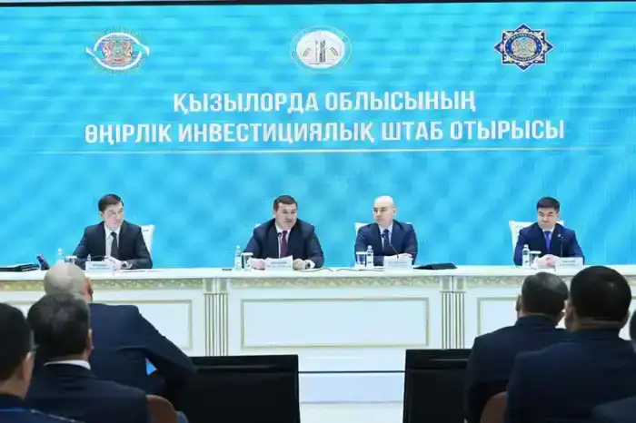 В Кызылординской области обсуждено взаимодействие госорганов по вопросу привлечения инвестиций в экономику региона (9)