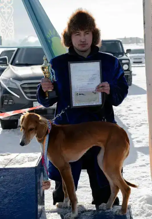 Соревнования по шырга тарту в Бухар-Жырауском районе: более ста участников продемонстрировали мастерство тазы