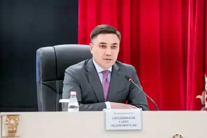 "Никаких оправданий": Министр внутренних дел жестко прошелся по полиции Шымкента (4)