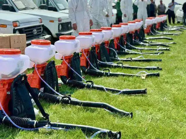 Как Туркестан сражается с саранчой в этом году?