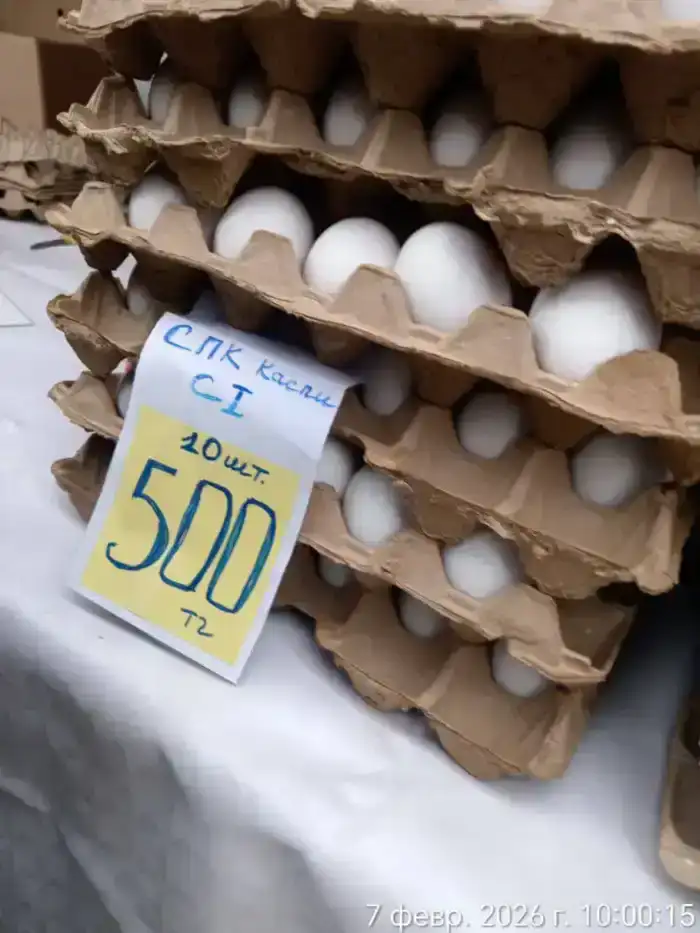 Сельскохозяйственная ярмарка в Актау: реализация 2 тонн картофеля из стабилизационного фонда