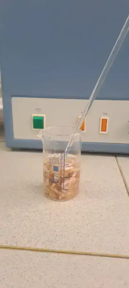 Казахстанские ученые разрабатывают технологию для сохранения шкур крупного рогатого скота