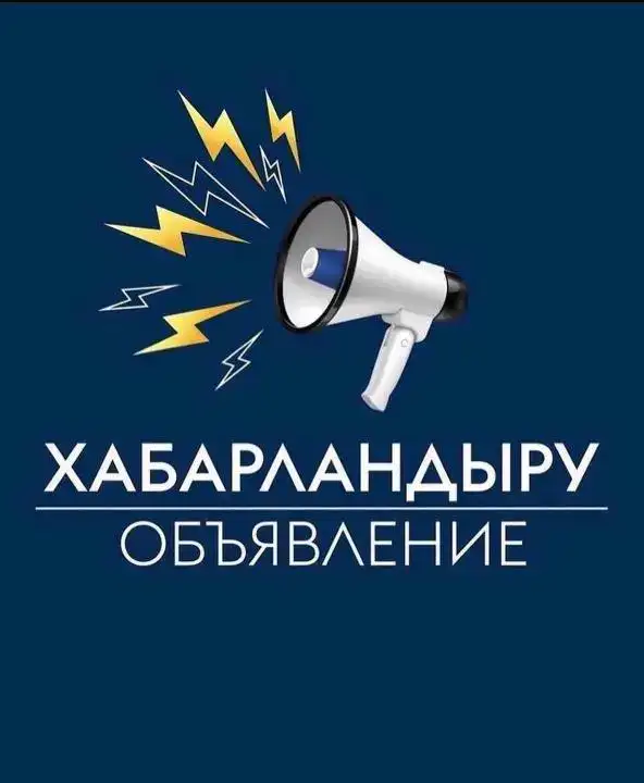 В поисках мудрых путеводителей: конкурс на независимых членов Наблюдательного совета «Digital Silk Road Company»