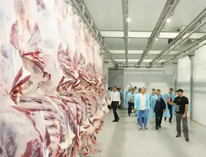 ТУРКЕСТАНСКАЯ ОБЛАСТЬ ЭКСПОРТИРОВАЛА ЗА РУБЕЖ БОЛЕЕ 60 ТЫСЯЧ ТОНН МЯСА, СТАВ ЛИДЕРОМ В РЕСПУБЛИКЕ (3)