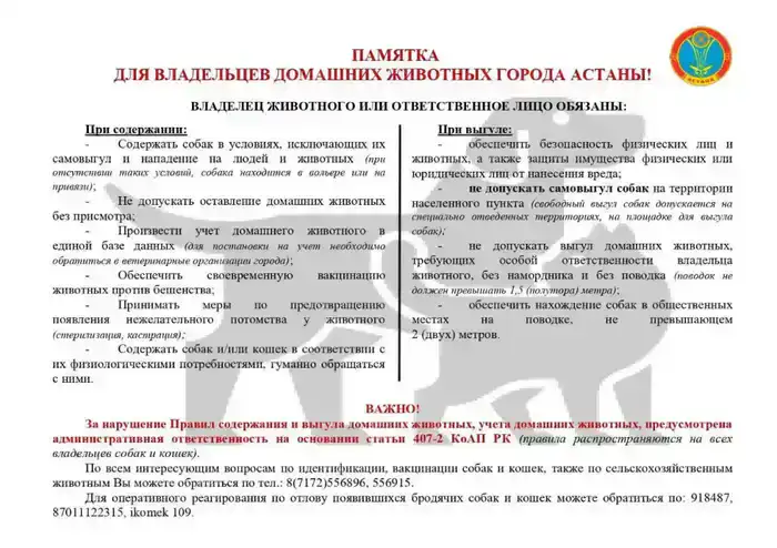 Собачьи прогулки под контролем: что нужно знать?