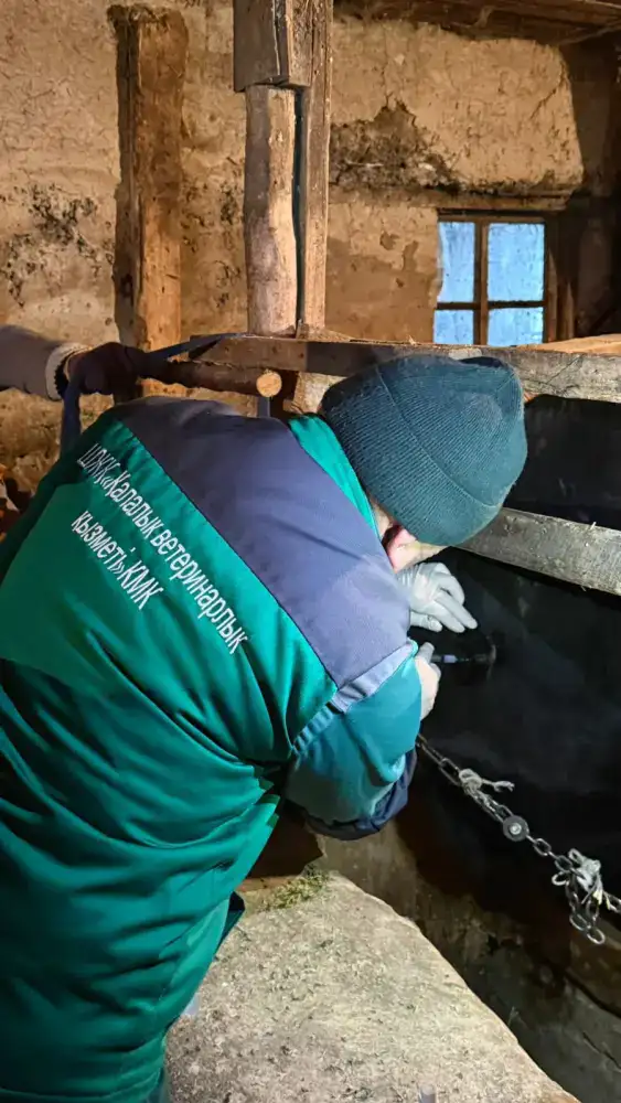В Алматы запускается программа бесплатной вакцинации сельскохозяйственных животных для защиты здоровья населения