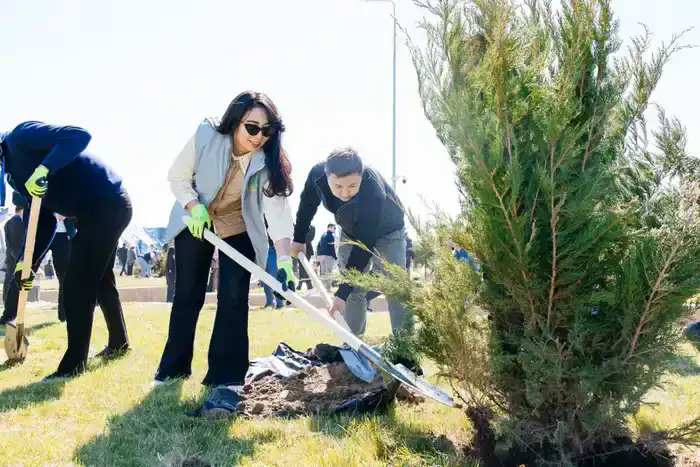 Посадка 1,8 миллиона деревьев: влияние на экологию и общественное сознание