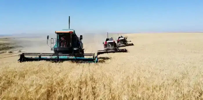 ОБЪЕМ ВРП ГОРОДА ТУРКЕСТАН В 2025 ГОДУ ДОСТИГ 526,3 МЛРД ТЕНГЕ, УВЕЛИЧИВШИСЬ НА 16,3% ПО СРАВНЕНИЮ С ПРЕДЫДУЩИМ ГОДОМ (8)