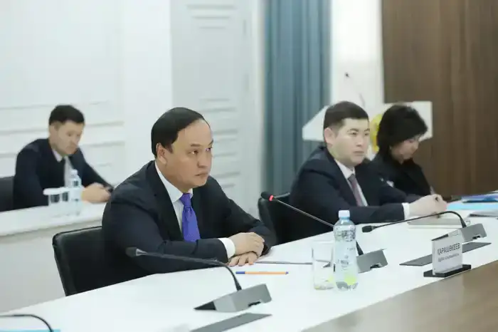 Ербол Карашукеев встретился с послом Нидерландов (4)