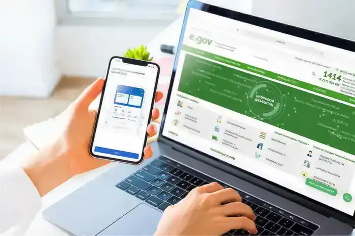 Разъяснение о критериях назначения социальной помощи через портал eGov в контексте международной практики