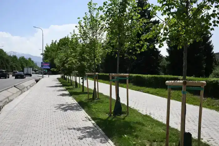 Алматы стремится увеличить зеленые насаждения до 15 кв. м на человека к 2030 году в рамках глобальной экологической инициативы