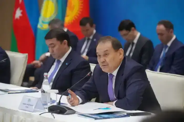 Экономическое сотрудничество стран ОТГ в Туркестане