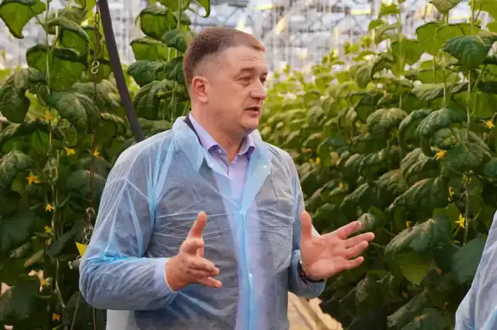 Делегация ВКО ознакомилась с работой крупнейшей теплицы в Барнауле (7)