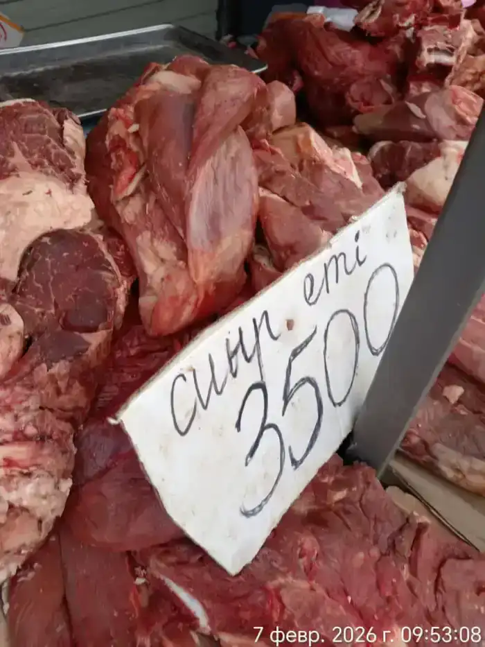 На ярмарке в Актау из стабилизационного фонда было реализовано 2 тонны картофеля (2)