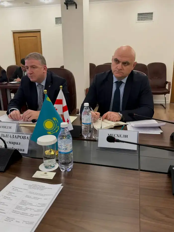 Казахстан и Грузия: новые горизонты в здравоохранении