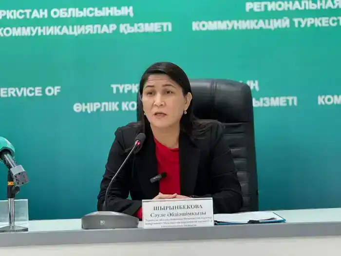 ТУРКЕСТАН: НОВОЕ НАЛОГОВОЕ ЗАКОНОДАТЕЛЬСТВО ПОВЫШАЕТ ПРОЗРАЧНОСТЬ В ОТРАСЛИ (3)