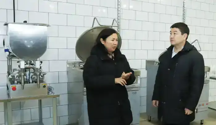 Нурдаулет Килыбай ознакомился со строительством социальных и производственных объектов в Мунайлинском районе (9)