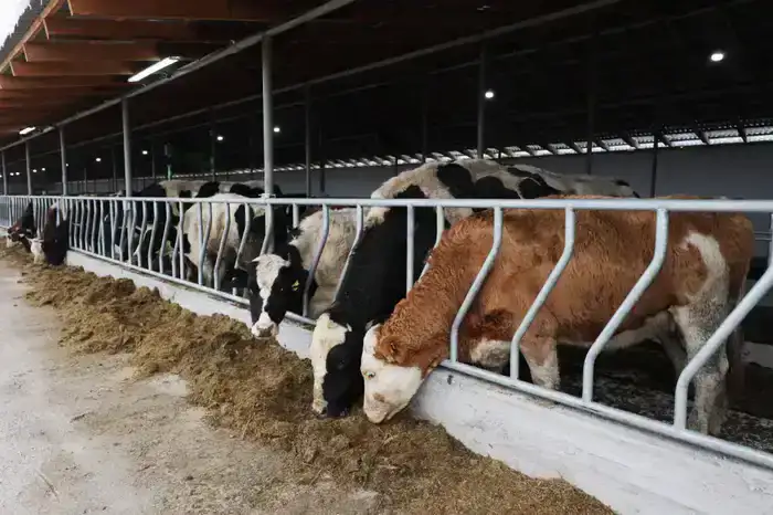 Ербол Карашукеев ознакомился с развитием сельского хозяйства в Байзакском районе (8)