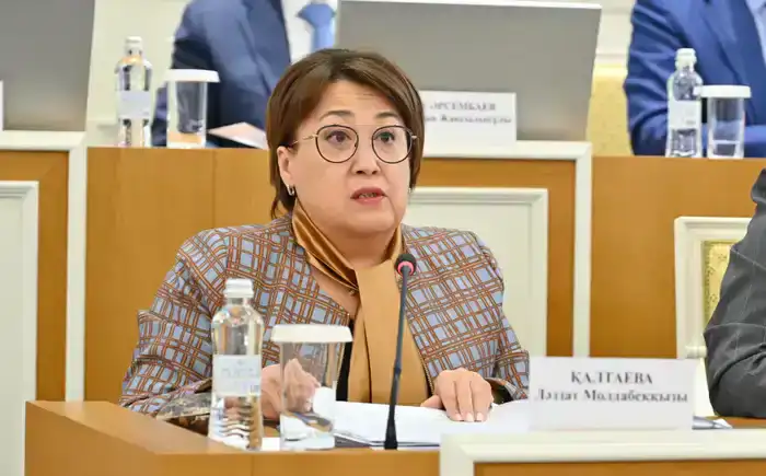 Проект новой Конституции РК шрифт Брайля инклюзивные форматы права инвалидов