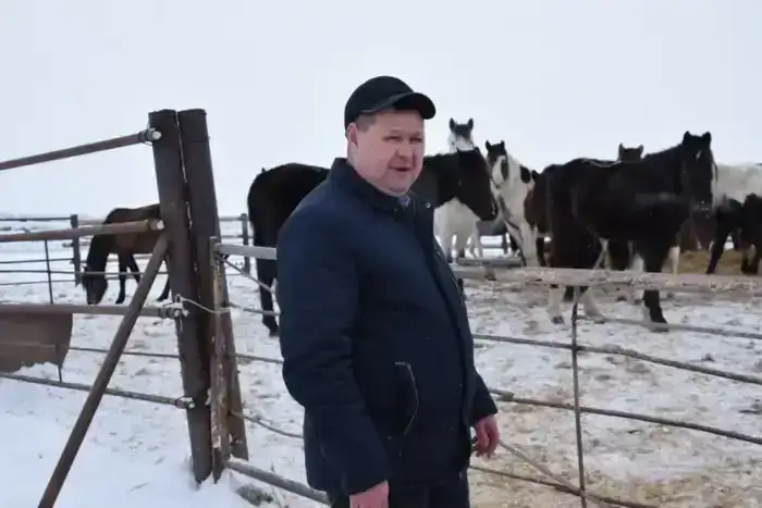 В ТОО «Агро LAKE» из Сандыктауского района развивается животноводство (5)