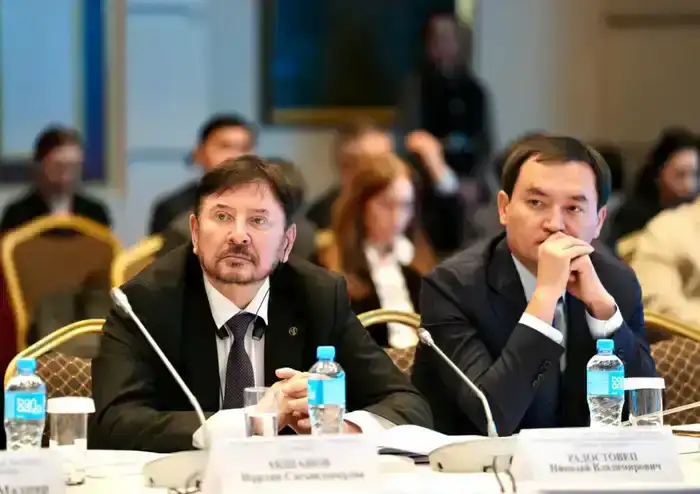 Минэнерго РК представило проект Нацплана по развитию угольной генерации: 7,6 ГВт новых и модернизированных мощностей (6)