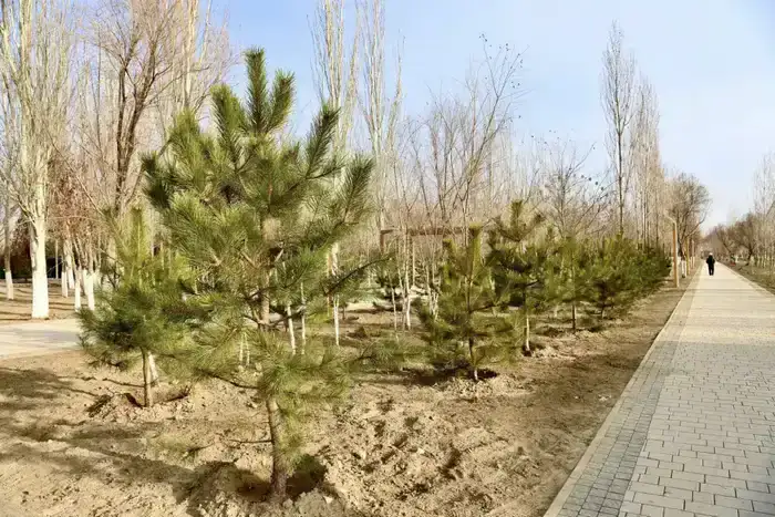 Строительные горизонты: Аким области Нурлыбек Налибаев наблюдает за возведением культурного оазиса