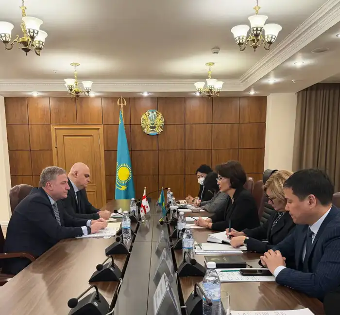 Казахстан и Грузия укрепляют сотрудничество в вопросах здравоохранения (2)
