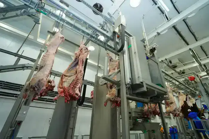 ТУРКЕСТАНСКАЯ ОБЛАСТЬ ЭКСПОРТИРОВАЛА ЗА РУБЕЖ БОЛЕЕ 60 ТЫСЯЧ ТОНН МЯСА, СТАВ ЛИДЕРОМ В РЕСПУБЛИКЕ (9)