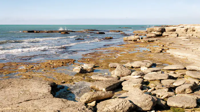 Правительство Казахстана выделило 1,1 миллиарда тенге на сохранение Каспия