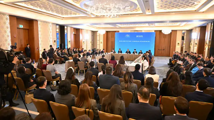 Спикер Сената призвал к единству в поддержке конституционных реформ Президента страны