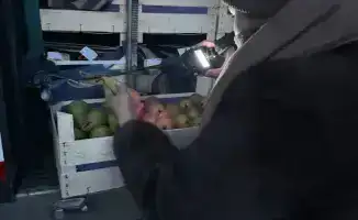 Груши из Бельгии вернули из-за сертификата