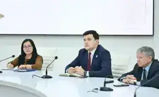 Конституционная реформа в Казахстане: международный диалог и президентские инициативы