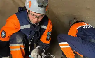 Спасение животных в России: более 400 жизней