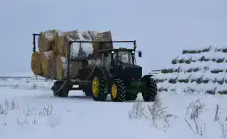 ТОО «Свободное» наращивает поголовье КРС в Сандыктауском районе до 3000 голов к 2028 году