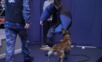 КВН и полиция: как смех спасает от наркотиков!