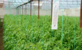 Инновационные методы опыления в теплицах способствуют экономическому развитию Ордабасинского района