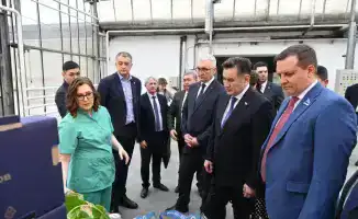 Визит делегации ВКО в Барнаул: изучение передового опыта тепличного производства