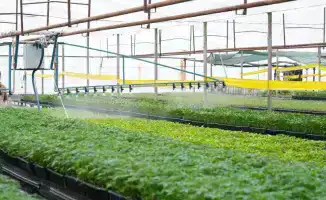 Технологии водосбережения в Туркестанской области: пример для международного агропромышленного сектора