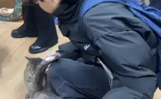 Школьники Астаны собрали помощь для приюта животных в рамках благотворительного мероприятия