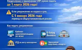 Важно для налогоплательщиков: выбор специального налогового режима до 2026 года