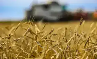 Казахстан: Прогресс в глубокой переработке сельхозпродукции и его влияние на агропромышленный рынок