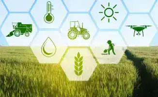 Министерство сельского хозяйства запускает работу над платформой «Е-АПК» для централизованного хранения данных в агросекторе