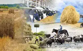 Сельхозкооперативы в Казахстане увеличились с 2840 до 4465 за 5 лет