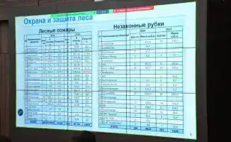 Увеличение лесных культур и охраняемых территорий: шаг к устойчивому экологии Казахстана