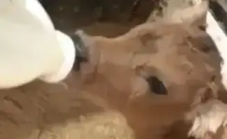 Как семейные традиции становятся основой успешного бизнеса: пример из Акмолинской области