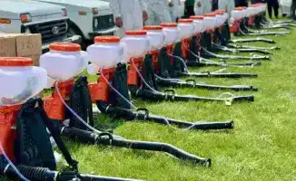 Как Туркестан сражается с саранчой в этом году?