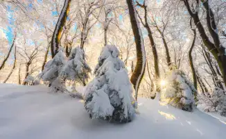Казахстан готовится к арктическому холоду: температура опустится до -40°C