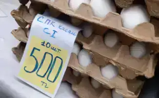 Сельскохозяйственная ярмарка в Актау: реализация 2 тонн картофеля из стабилизационного фонда