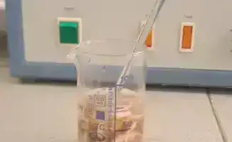 Казахстанские ученые разрабатывают технологию для сохранения шкур крупного рогатого скота